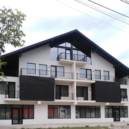 Danifeld Inn Voroneț Extérieur photo