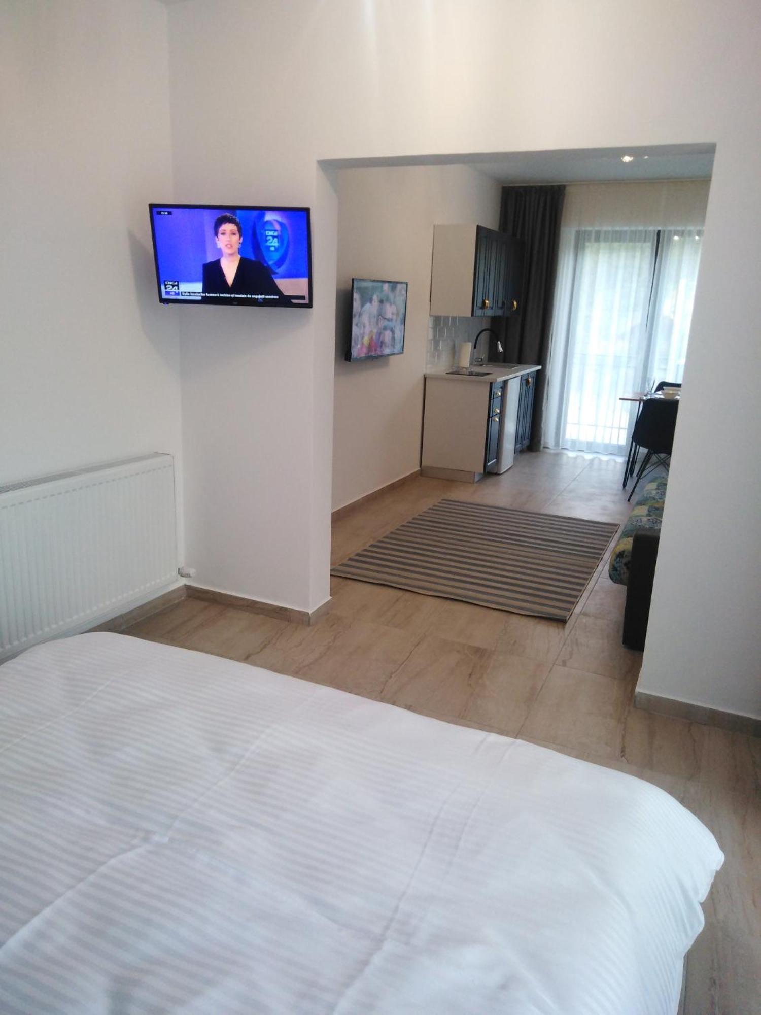 Danifeld Inn Voroneț Extérieur photo